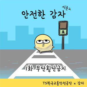 [TS한국교통안전공단x감자] 콜라보 시즌2